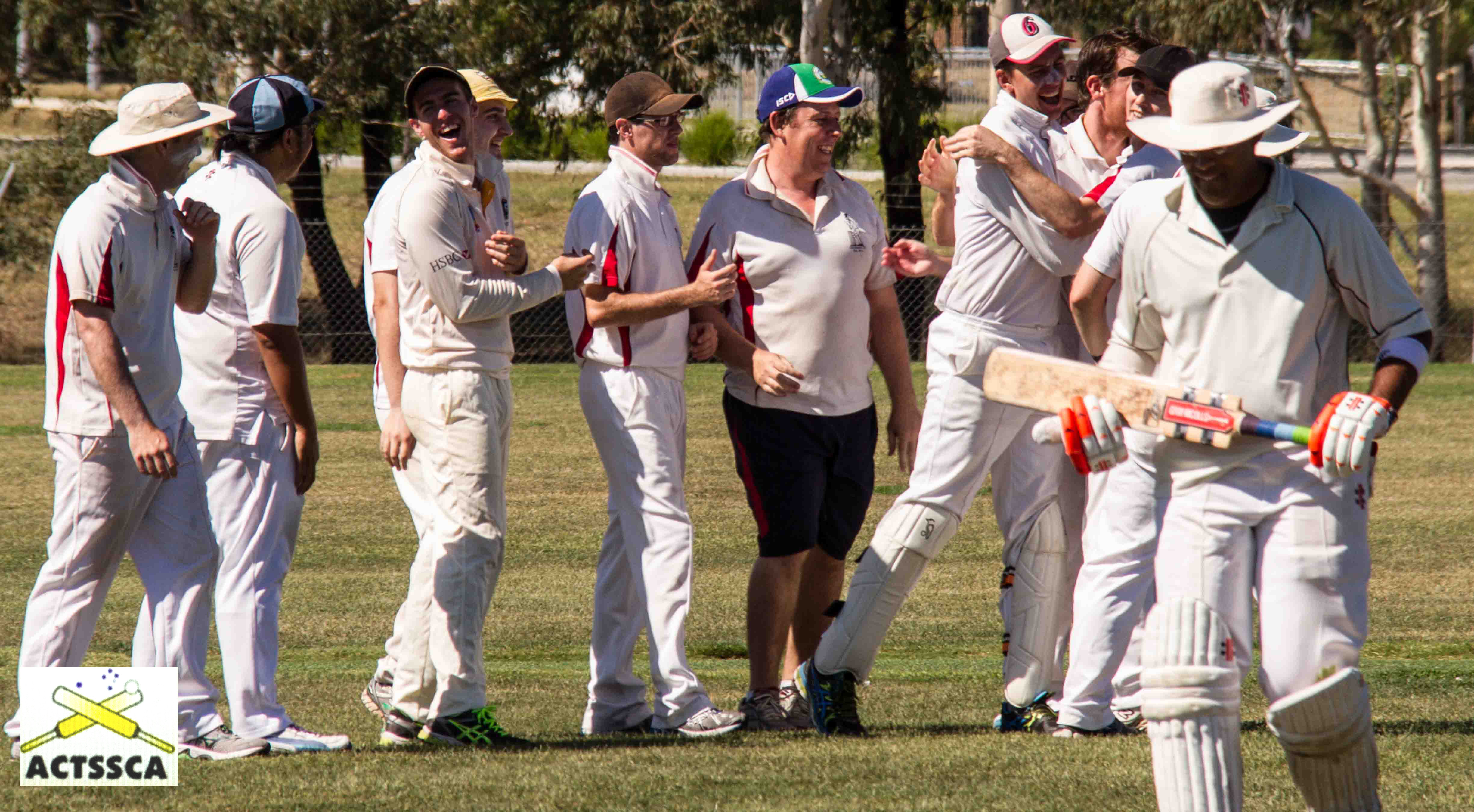 A group of cricketers celebrate the fall of a wicket